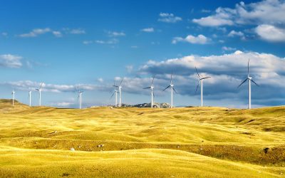 SYNIERGY: L’AZIENDA IN SINERGIA CON LA TRANSIZIONE ENERGETICA.