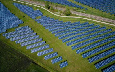 Agrivoltaico tracciabile, efficiente e sostenibile 